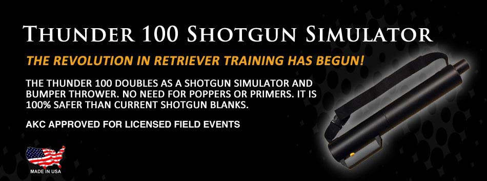 The Revoluntionary Thunder 100 Shotgun Simulator
