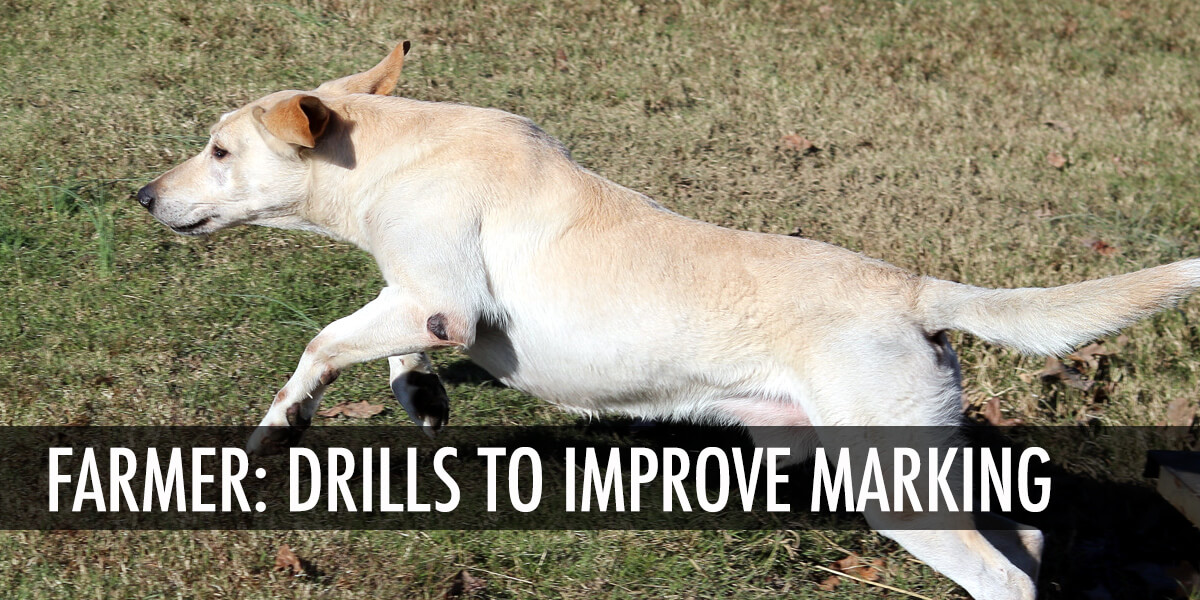 Thunder Equipment Farmer - Drills to Improve Marking