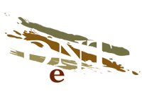 Designed and built by DNT Media